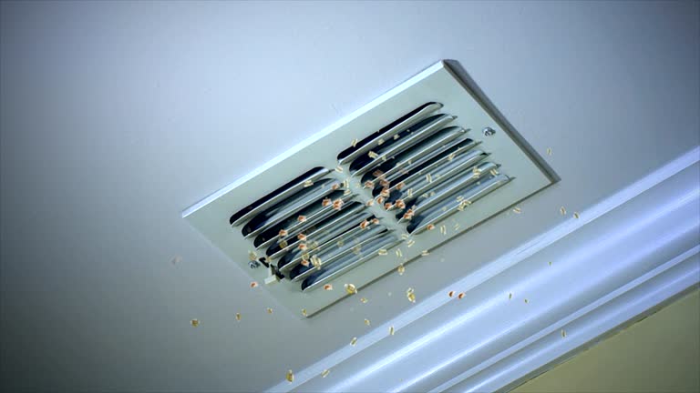 Best Home Air Vent Cleaning  in Darien, GA