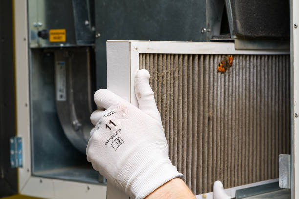 Best Dryer Vent Cleaning Services  in Darien, GA