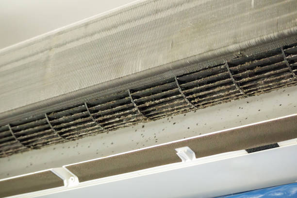 Best Ductwork Cleaning Services  in Darien, GA